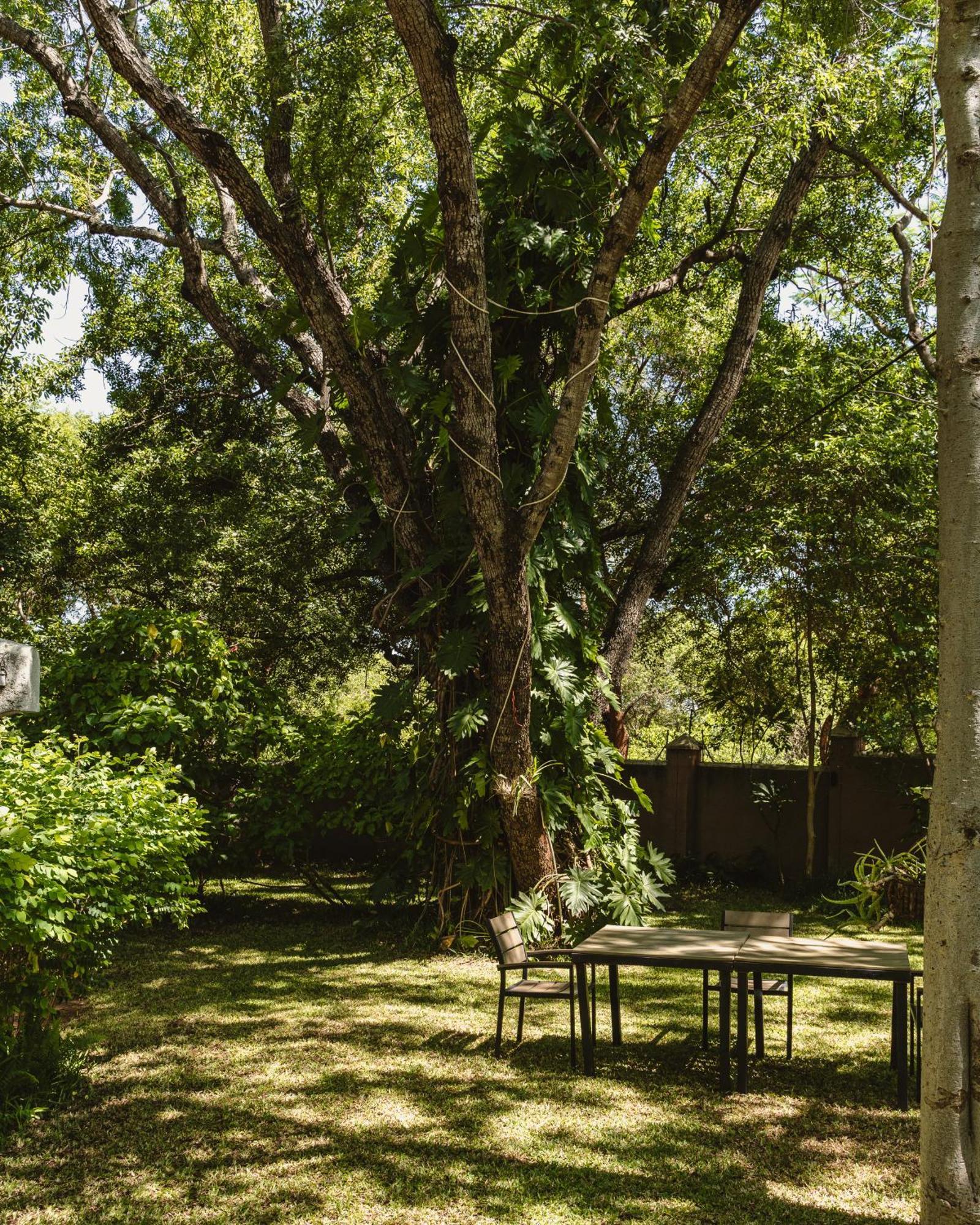 Jacaranda Lodge Victoria Falls Exterior foto